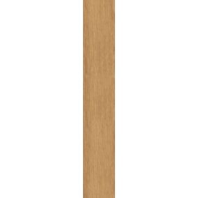 Gres mrozoodporny Classica 9,2 x 60 cm beżowy 0,6 m2